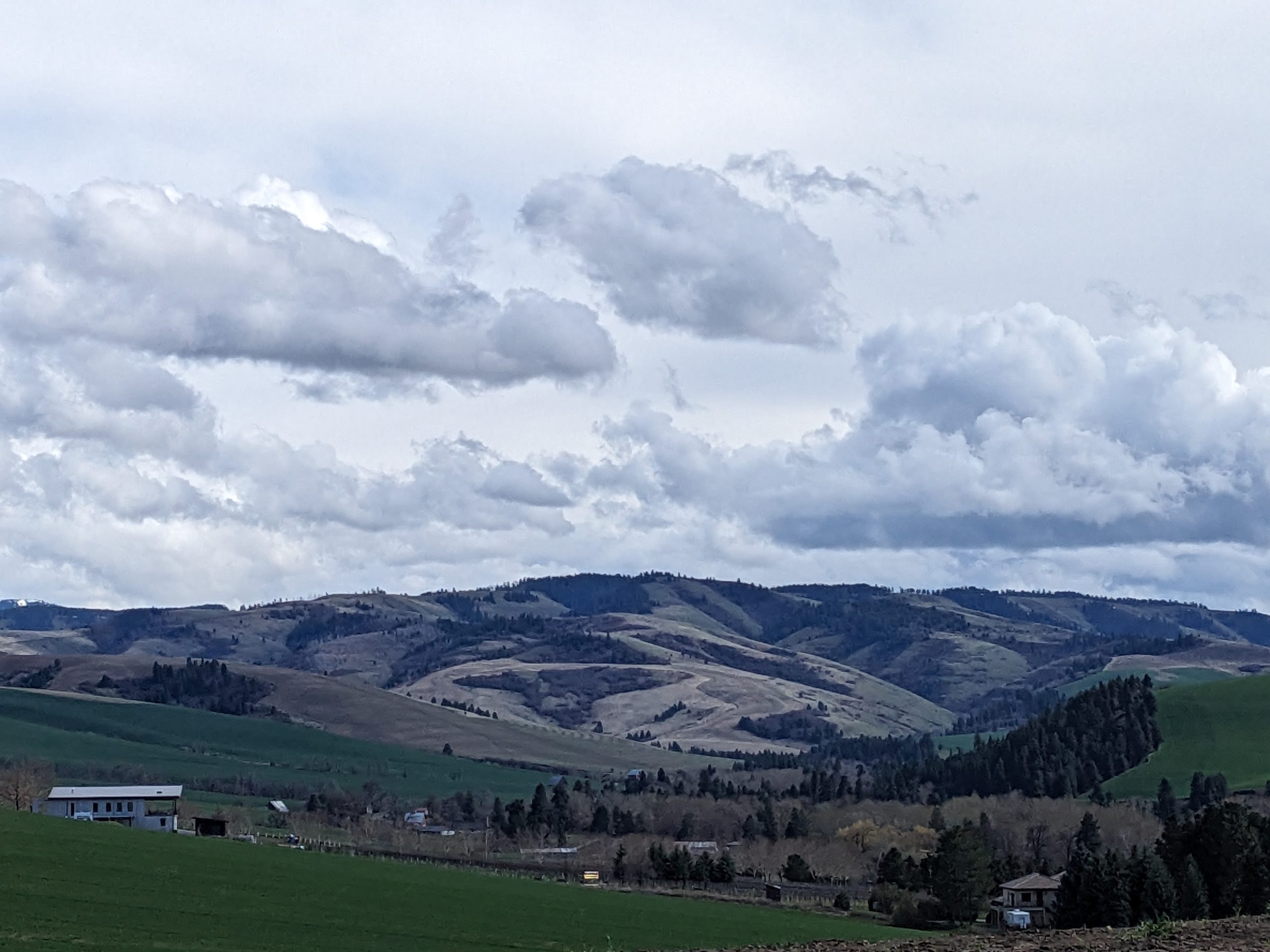 A view of the Blue Mountain foothills outside Walla Walla