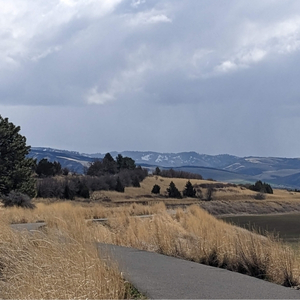 Bennington lake views